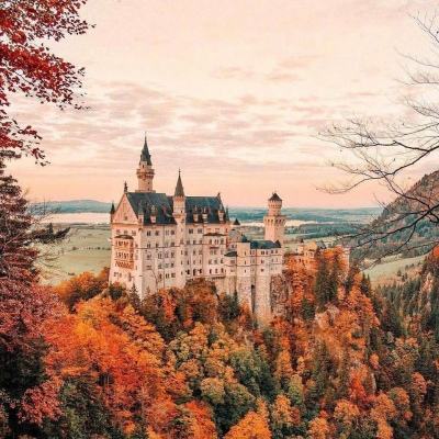 博鱼APP官方网站