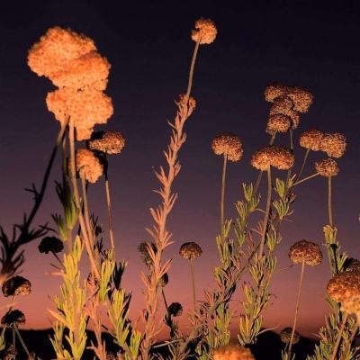 beat365下载唯一官方网截图