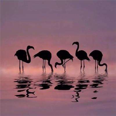 6566体育下载手机版