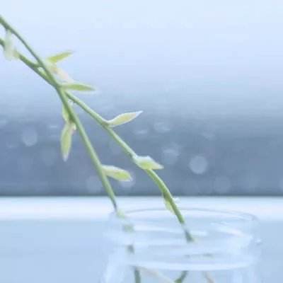 hth华体育(中国)官方入口下载手机版